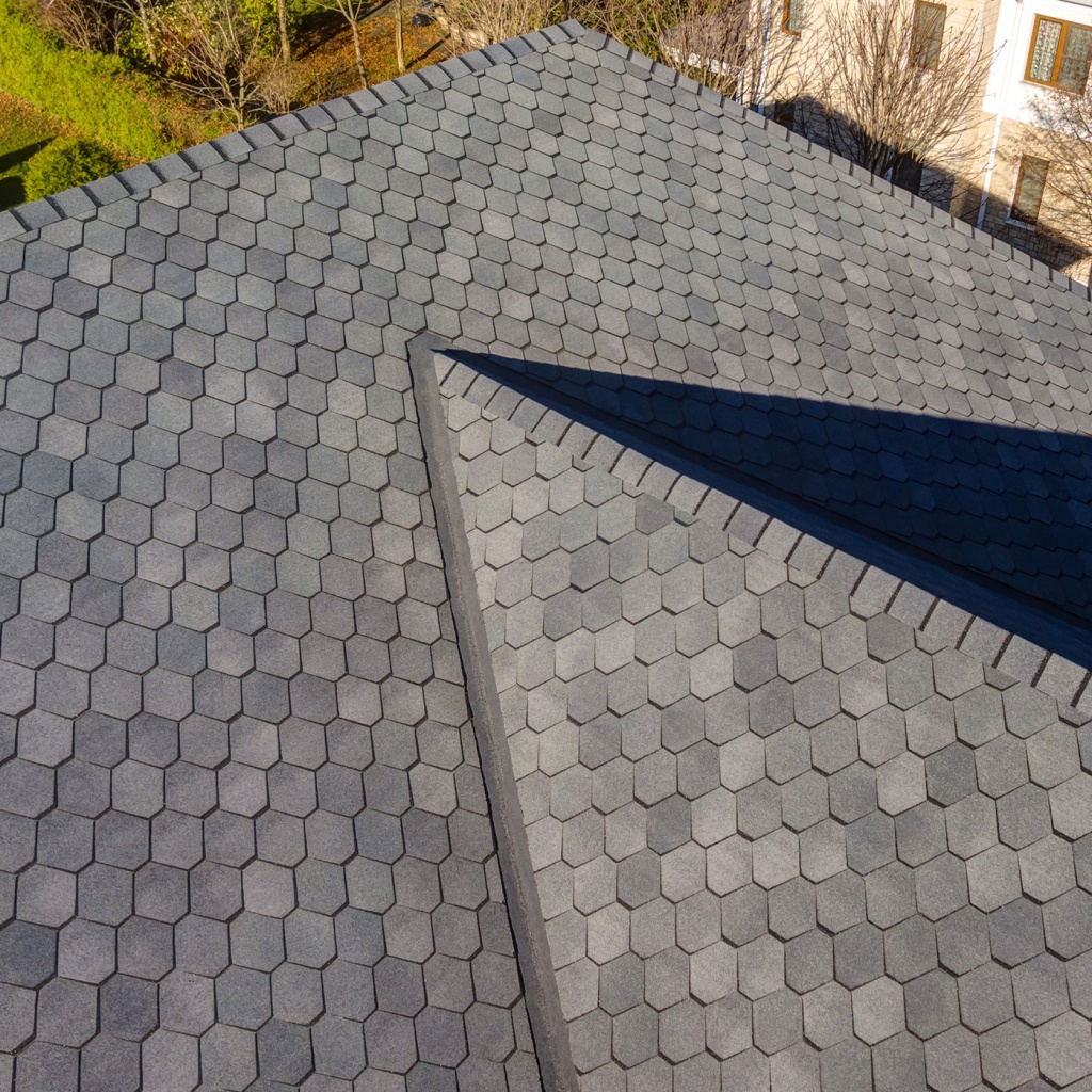 Roofing Shingle 3